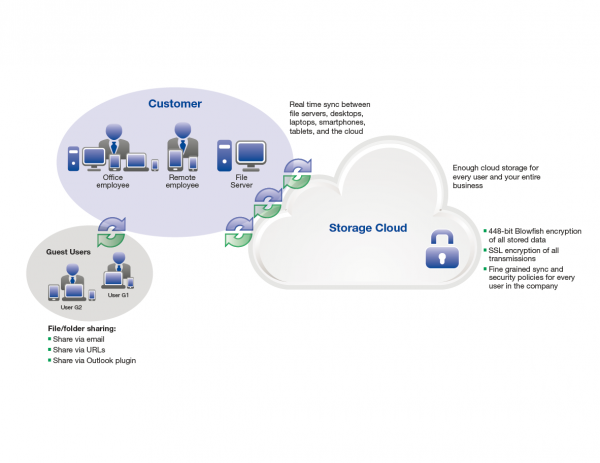 illustrating the relationship between the customer, guest users, and the storage cloud
